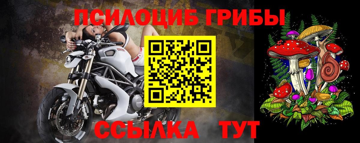 Галлюциногенные грибы ЛСД  Шатура 