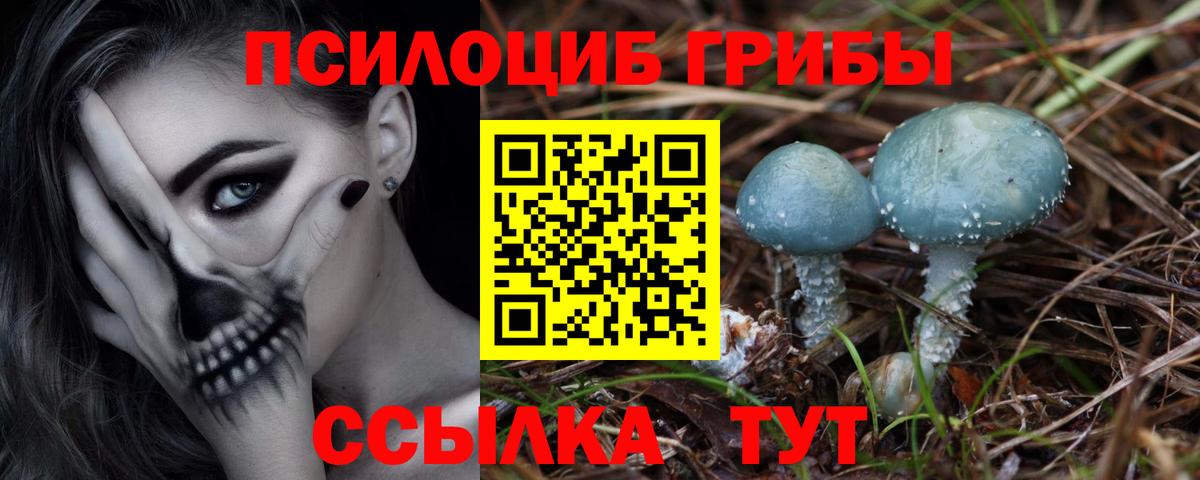 Псилоцибиновые грибы MAGIC MUSHROOMS  Вход с VPN  Шатура 